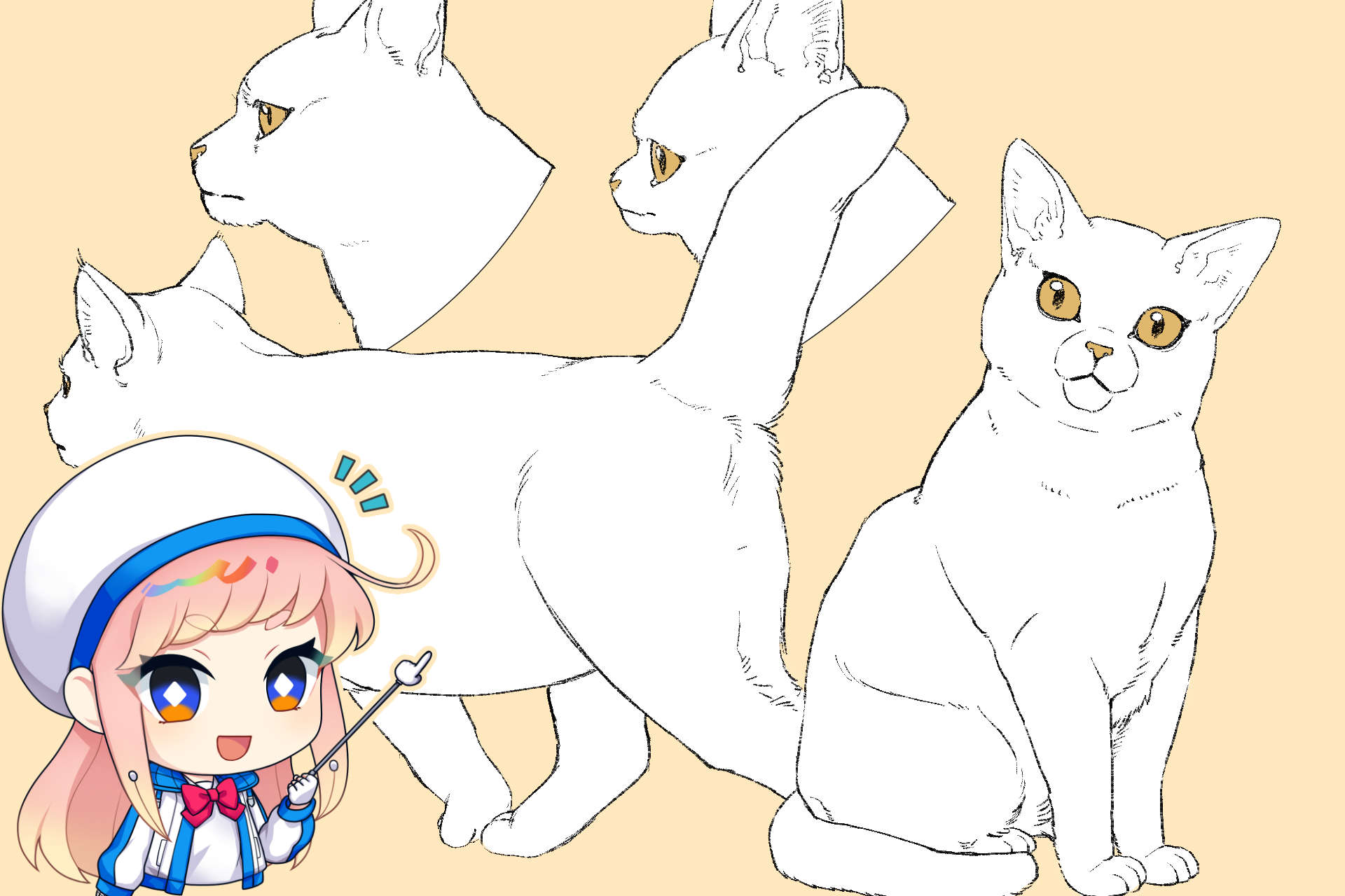 If you learn the balance, it's easy to draw cats! Let's understand the structure of a cat to improve your drawing skill of the cat family